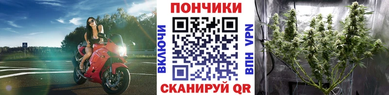 купить наркоту  Волчанск  Бошки марихуана индика 